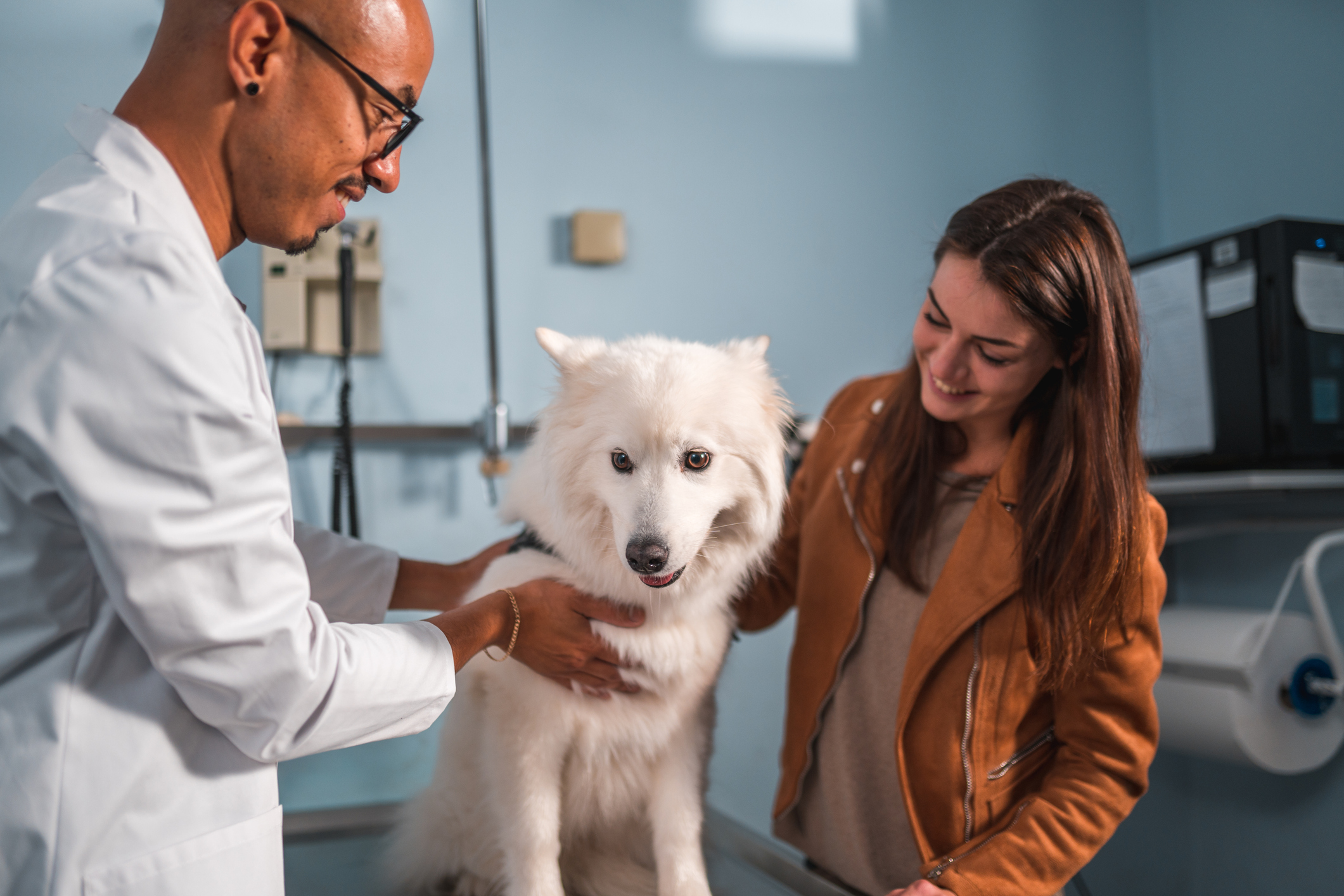 When Seconds Matter Dog Choking Hazards and LifeSaving Techniques