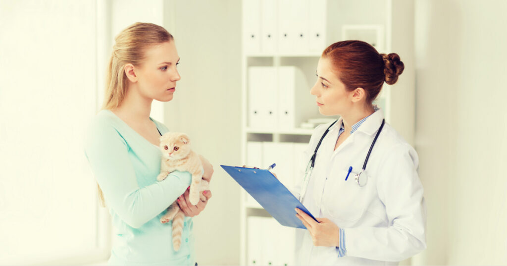 female cat owner holding her cat while talking to female vet at clinic